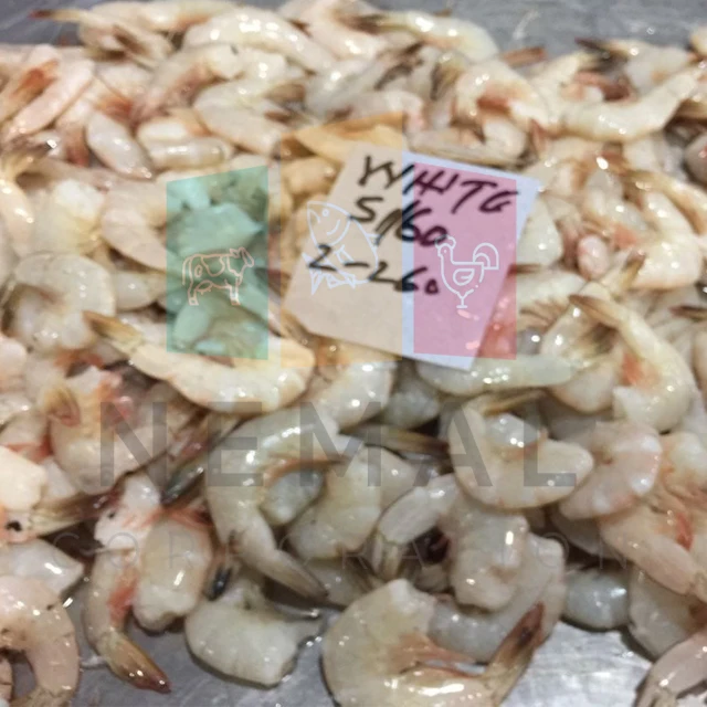 
Frozen White Shrimps Available 