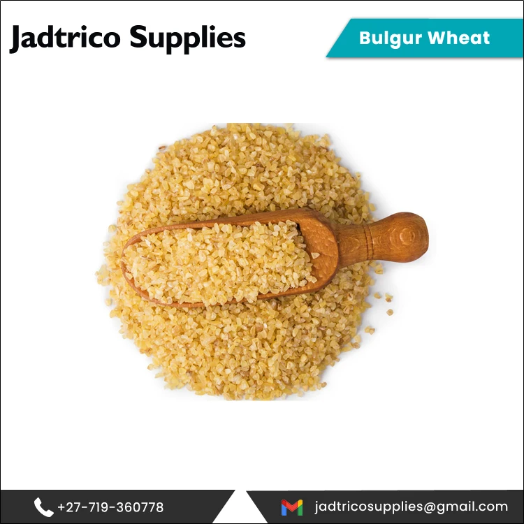 Поставка по всему миру Высококачественная свежая Пшеница Bulgur оптовая продажа