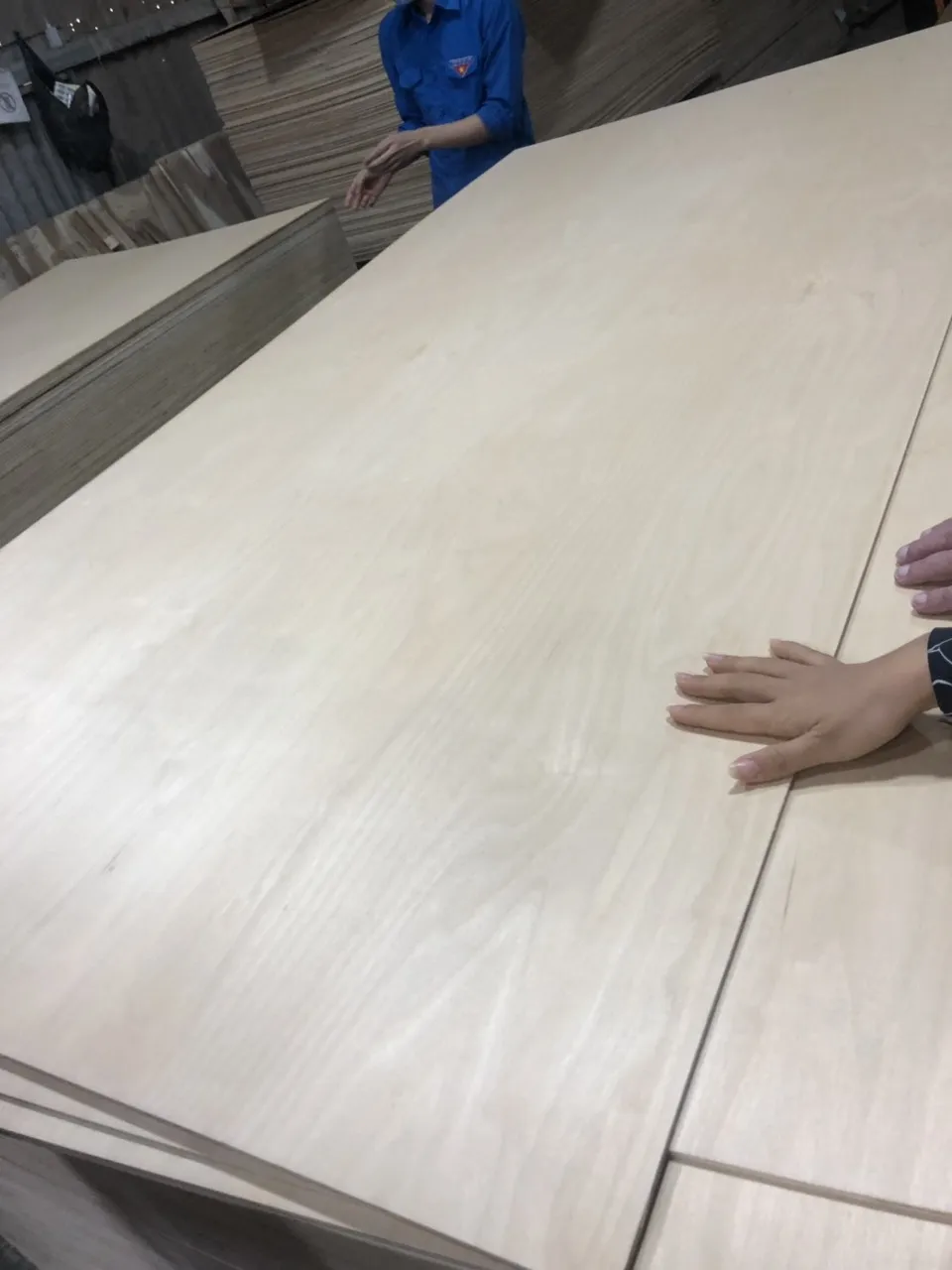  Березовая фанера экспортируемая в США Канаду с использованием клея E0 высокий стандарт