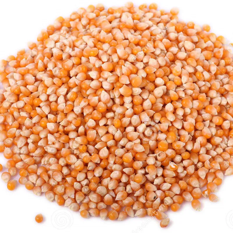 
Wholesale High Value Dry Yellow Corn For Animal Feed  (1600145531433)