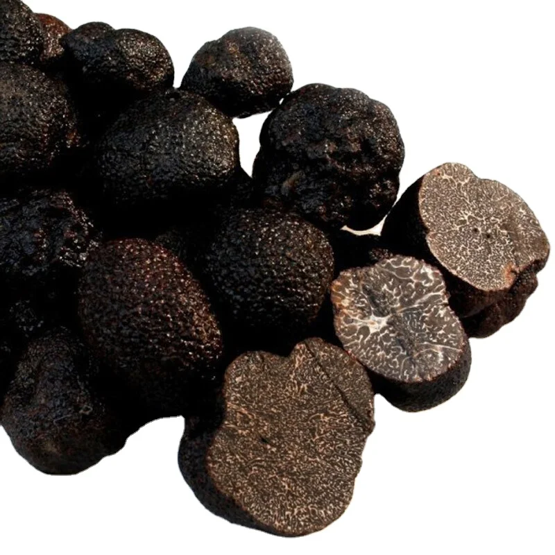 Wholesale seta supply fresh magic oyster spawn magic truffles log Fungus mushroom