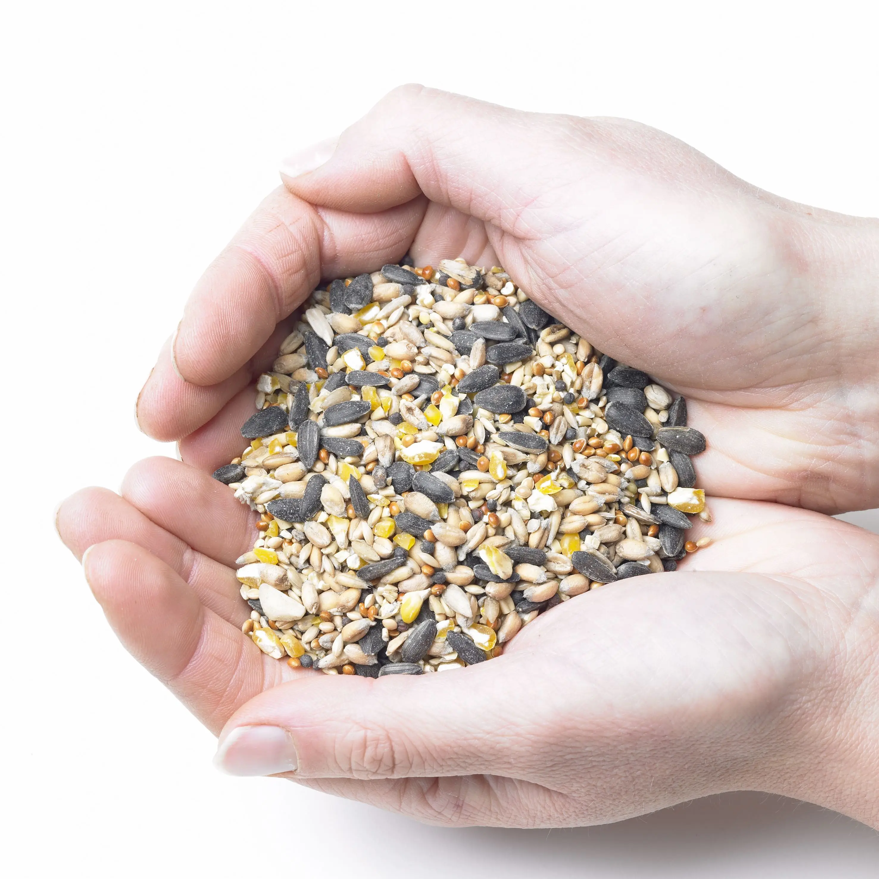 
packets red millet seed 