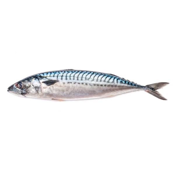 
Seafood Frozen Pacific Mackerel 