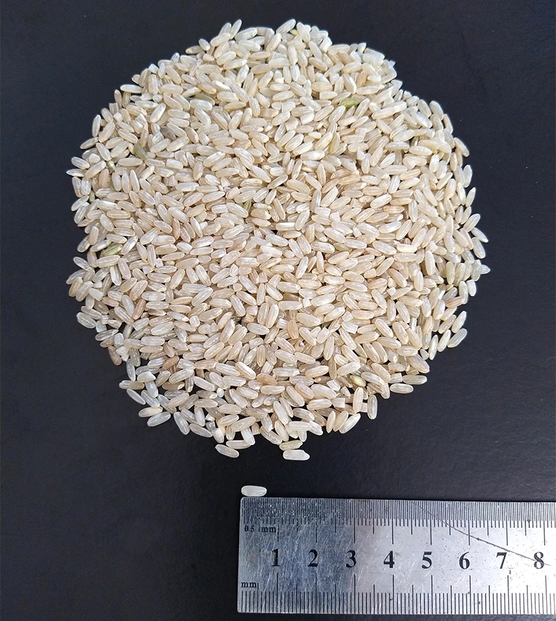 
Long brown rice wholesale suppliers, 5% broken the best quality, hot price 