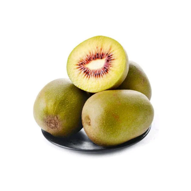 Wholesale Fresh Kiwi / Kiwi Fruit For Sale / Good Price Quality Fresh Kiwi Fruits