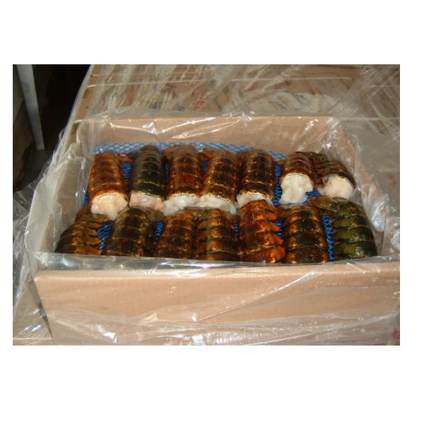 Wholesale Price of Natural Frozen Lobster Live Lobster and Frozen Lobster Tail
