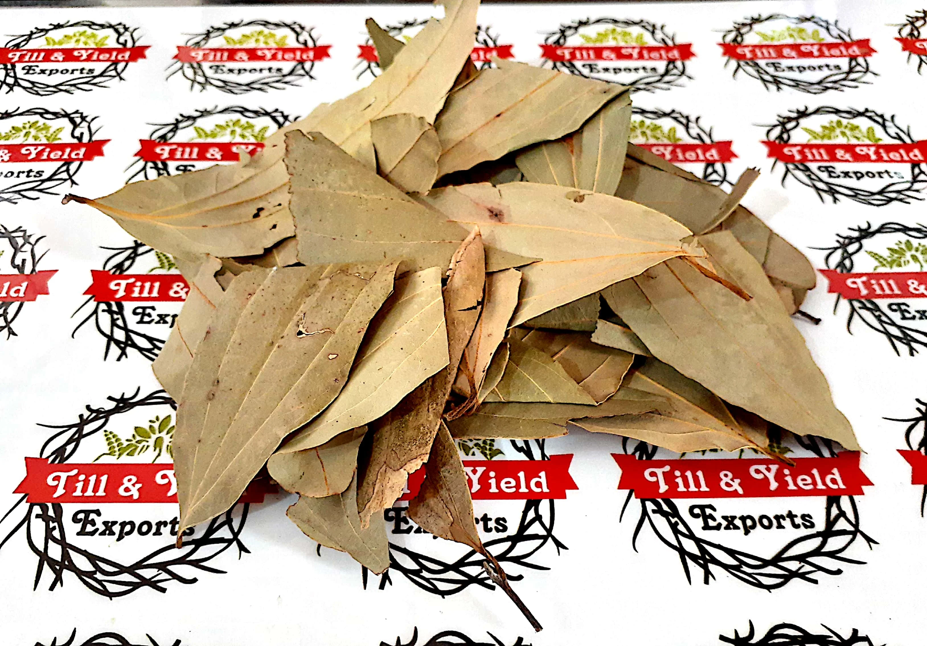 Bay Leaf/Tejpatta Zeylanicum Help Manage High Cholesterol Due To Its Antioxidant And Anti Inflammatory Properties