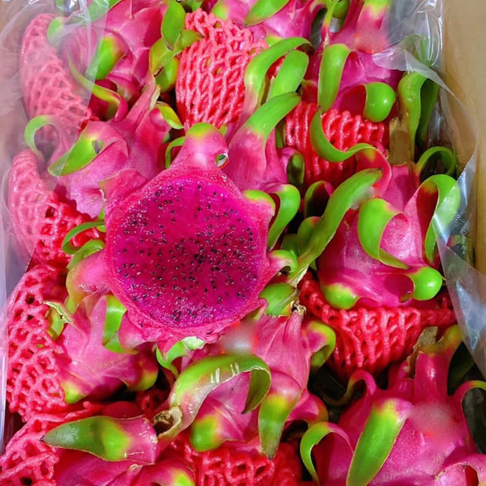 Фрукт красного дракона, красная плоть/Высокое качество для экспорта на рынок ЕС/США из Вьетнама (порт хошиминь)