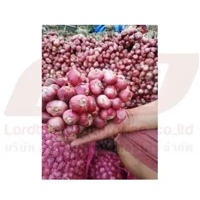 
Onion Red Fresh From Thailand 