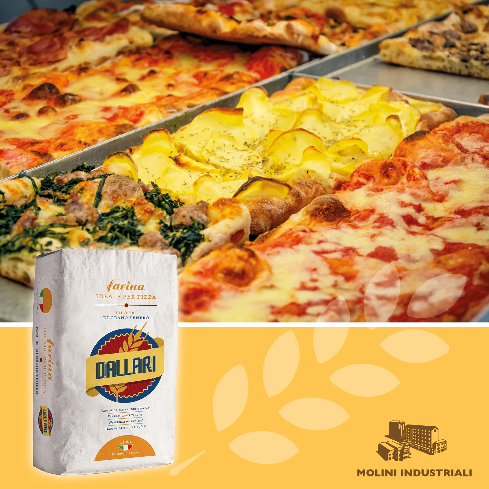 TOP QUALITY ITALIAN BAKING FLOURS FOR PIZZA AND BREAD: SPECIAL PROFESSIONAL RESTAURANT FLOUR BUNDLE