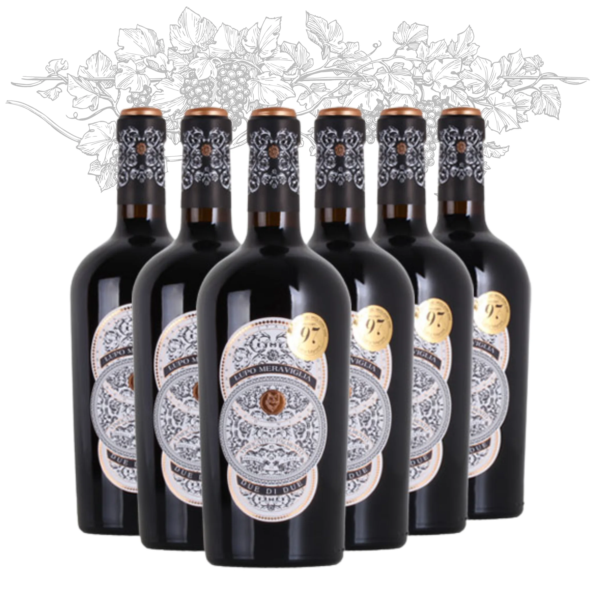 Итальянское красное вино премиум-класса, красное вино, красное вино, грация желтовато-желтовато, из двух бутылок, 750 мл спирта, 13% на экспорт