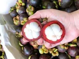 Cheap export mangosteen/ Whatsapp : +84 896679047