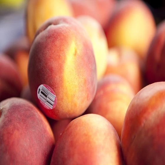 
 Fresh Peaches  