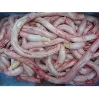 Halal Fresh and  Frozen Beef Pizzles in Stock