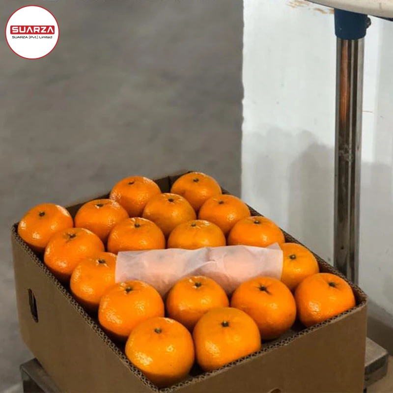 Свежая цена на кинноу, Пакистан, Sargodha Kinnow/свежие мандарин OrangesBulk, Свежие Мандарины Kinno, пакистанский кино мандарин