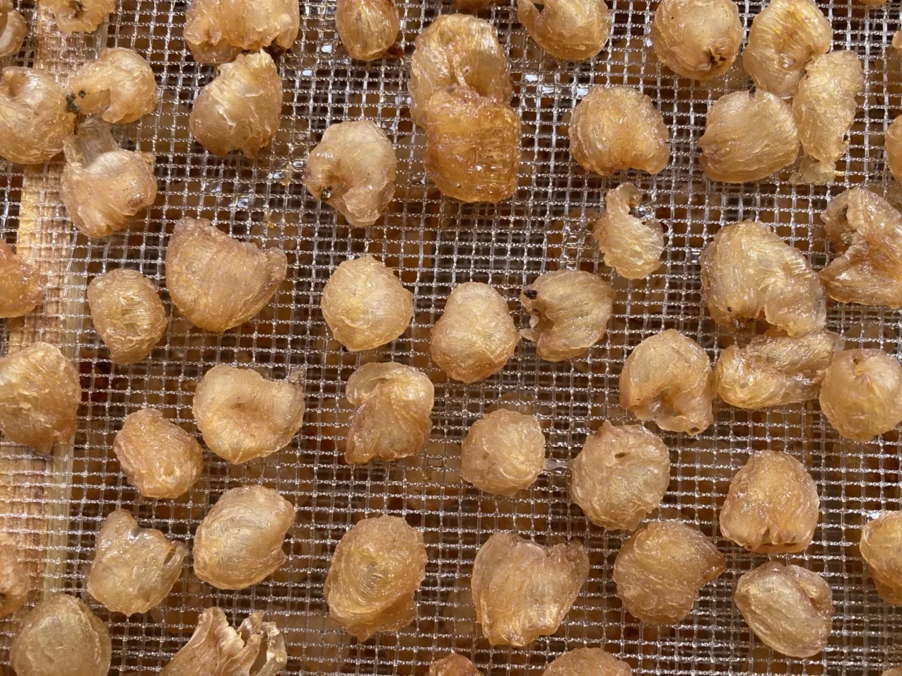 Dried Longan fruit pulp 100% Organic Meat Dried Longan Pulp Longan Dragon Eye High Quality In Vietnam