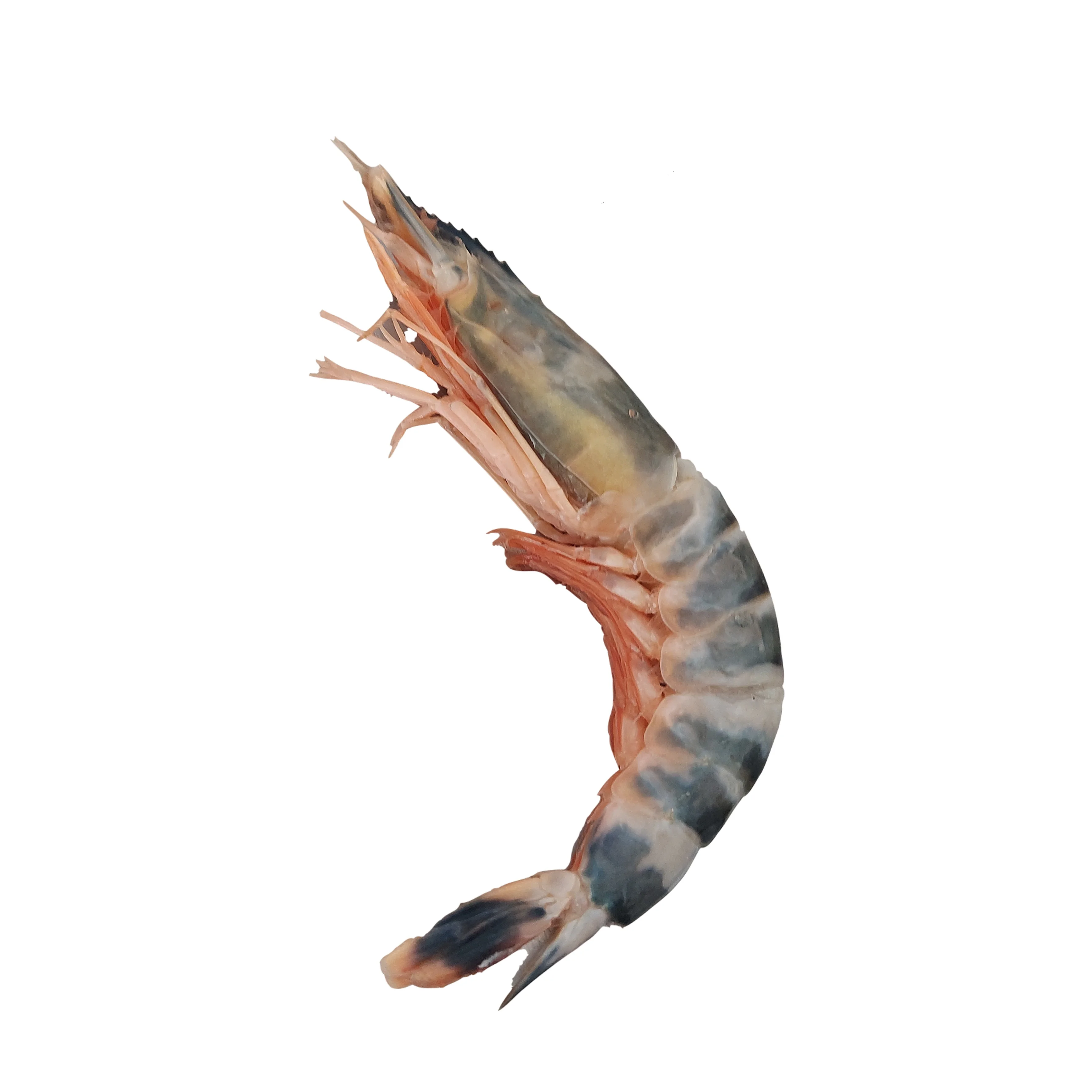 Red Tiger Shrimps Frozen IQF  Head On Shell on Custom Packing Best Quality Master Seafood Product Country of Origin Bangladesh