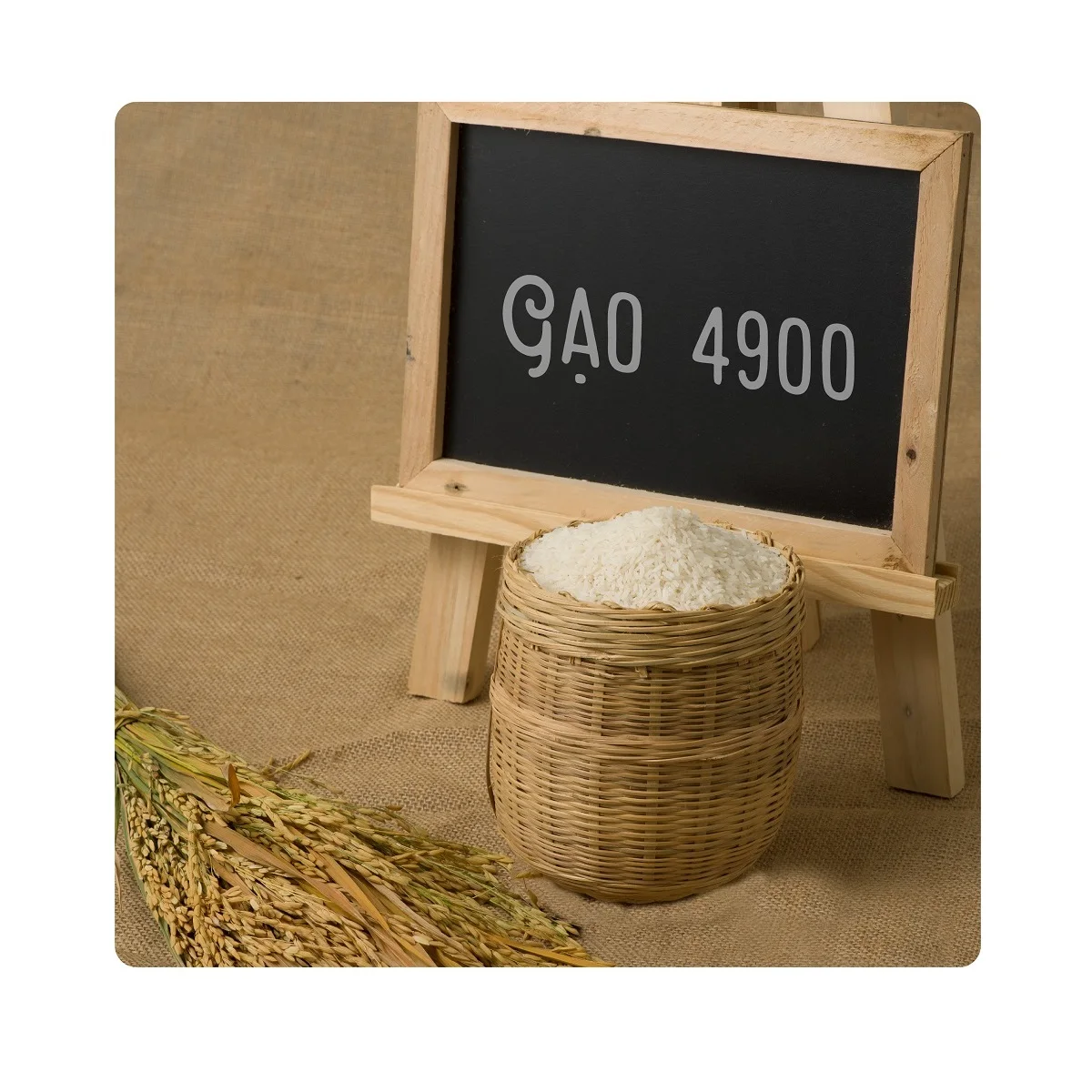 Вкусный ароматический рис со средним зерном Gao 4900 без брендового риса из Вьетнама по лучшей цене