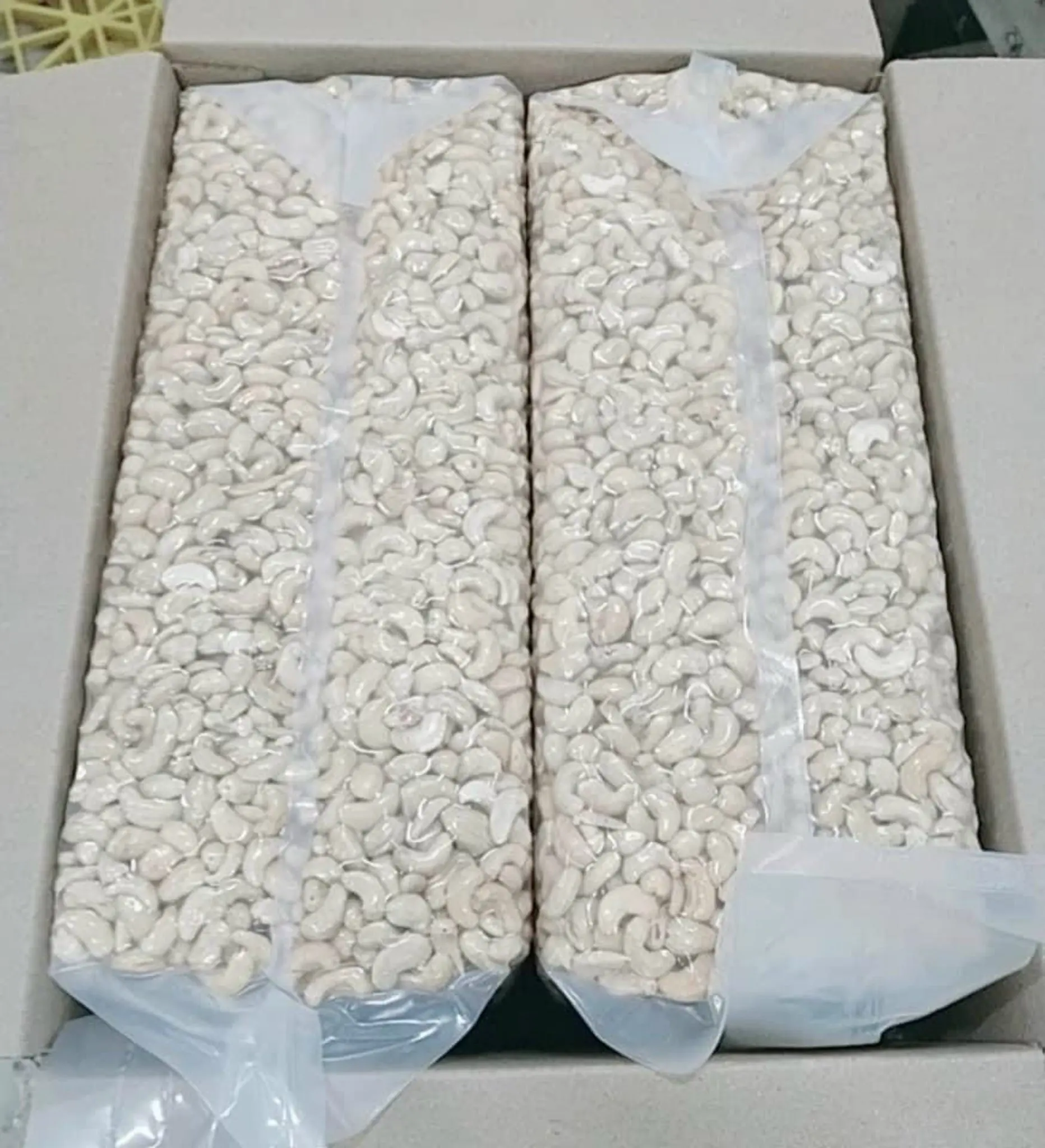 Vietnam supplier Export cashew nuts roasted dried raw cashew snack box cashew nut w320 at cheap price