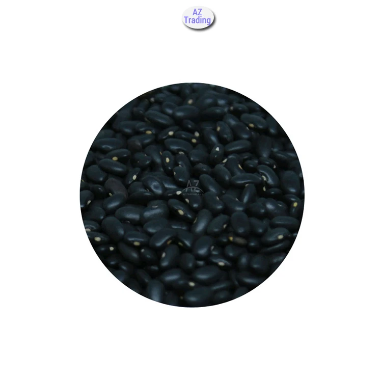 Hot Deal on 0.5% Max Broken Ethiopian Black Kidney Beans at Low Price