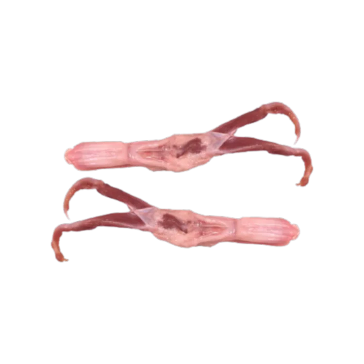 
whole duck frozen duck neck tongue made in korea fresh part frozen 