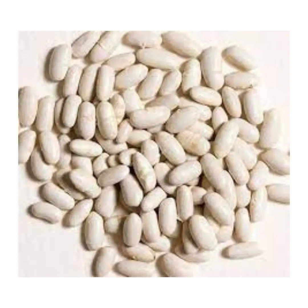 MADE IN ITALY FOOD HIGH QUALITY IDEAL FOR SALAD ORGANIC DRIED CANNELLINI BEANS IN BIG BAG