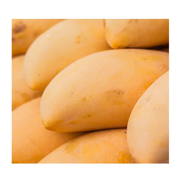 Fresh And Organic Sindhri Pakistani Mangoes In Wholesale Price