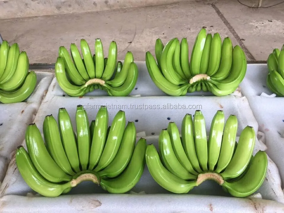 
Fresh banana puree price in UAE INDIA PHILIPPINE product 2020 