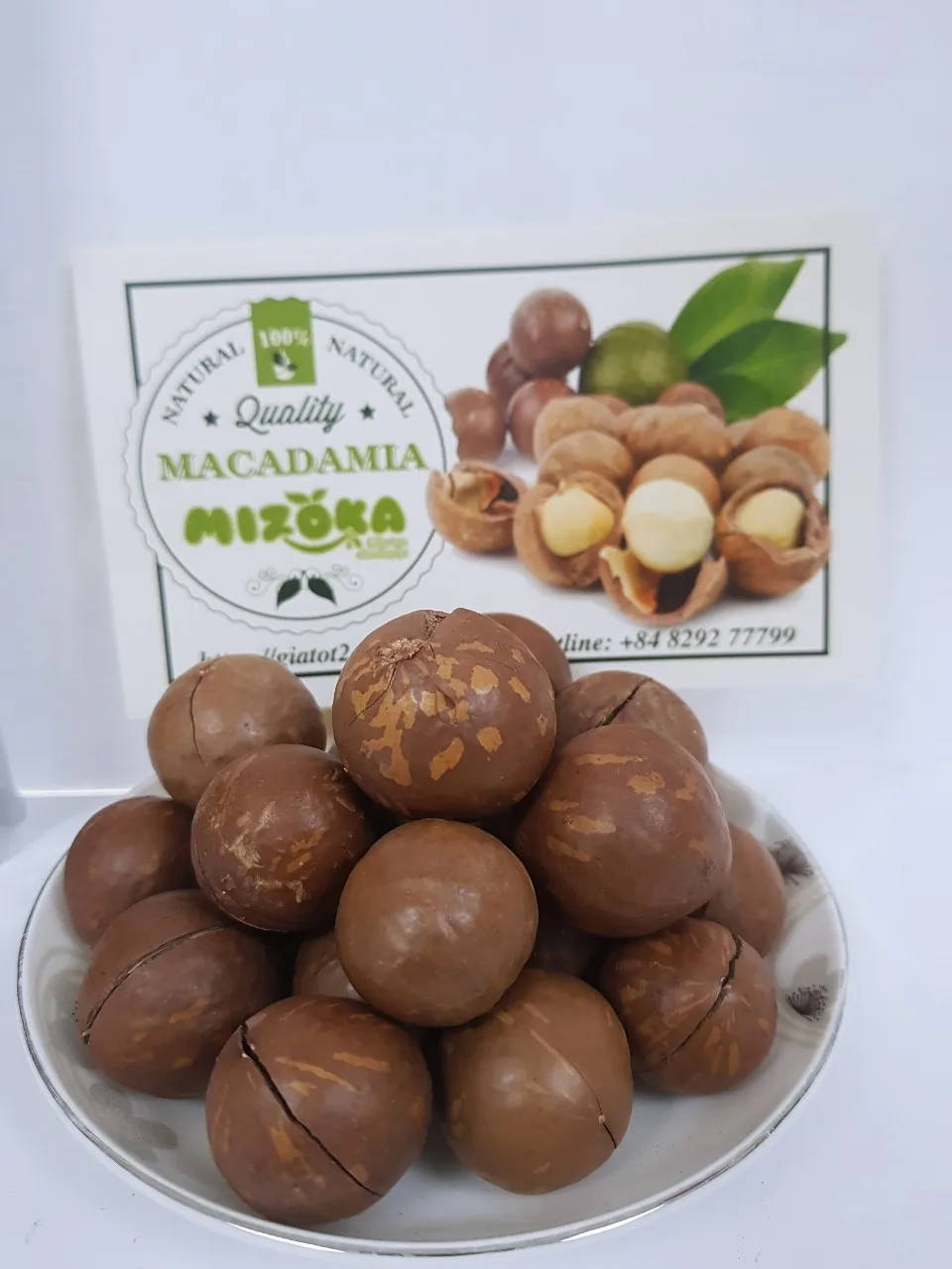 Roasted Macadamia Nuts from Vietnam a Grade Raw 10kgs/bag Packaging Dried Price of Macadamia Natural Color Natural Sweet 13% Max