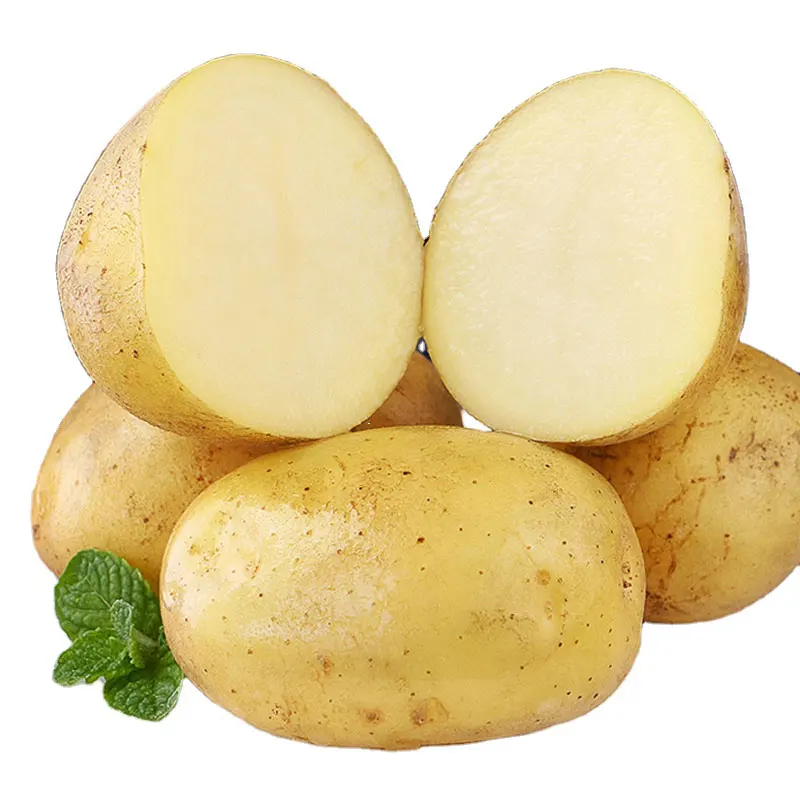 Экспортное качество 100% натуральный свежий Оптовый дешевый картофель поставщики картофеля