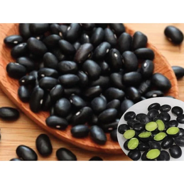 High quality wholesale black beans green flesh Vietnamese brand are produced on a process that strictly adheres to food safety