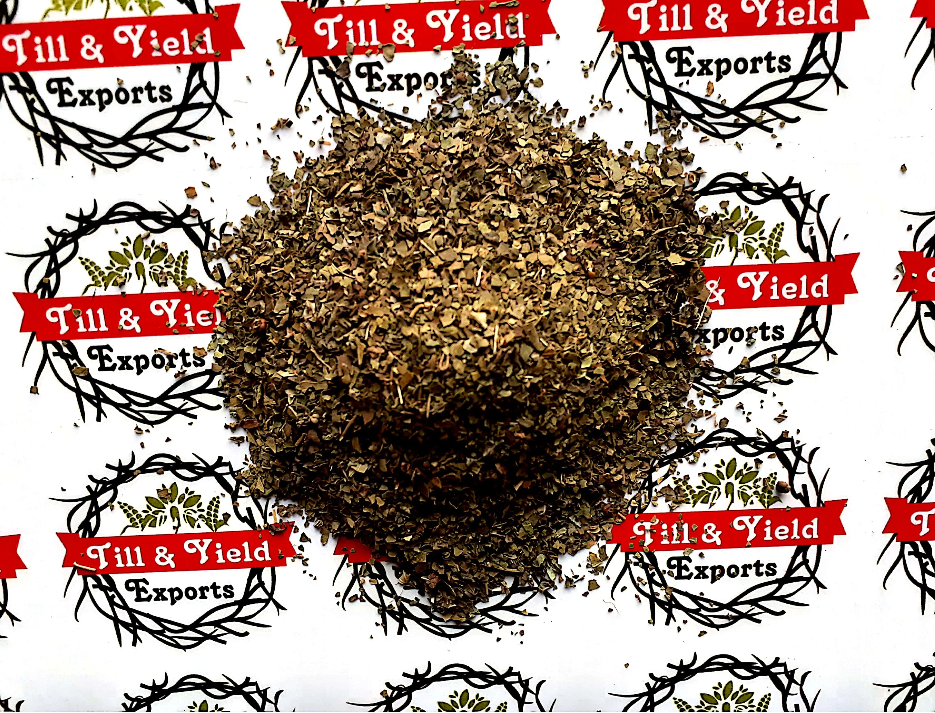 High Pure Dried Herbal Gymnema Sylvestre Tea indian origin best quality leaves Tea Bag cut size 0.5-4mm