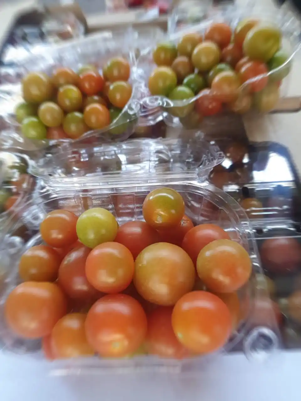 
Wholesale Bulk Vegetable Fresh Red Cherry Tomatoes 