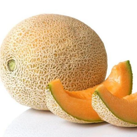 Best fresh melons 2022