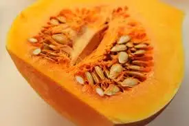 Natural pumpkin, factory price/ Jasmine +84 896679047