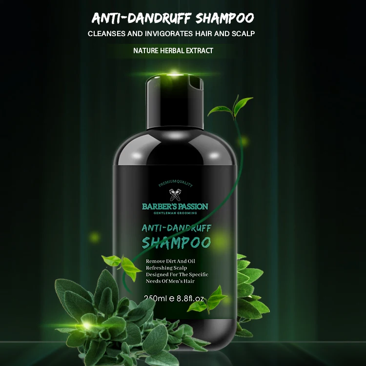 Private Label Custom Best Men Conditioner Anti-Dandruff Natural Hair Loss Organic Argan Oil Shampoo For Hair Care Shampoo Set