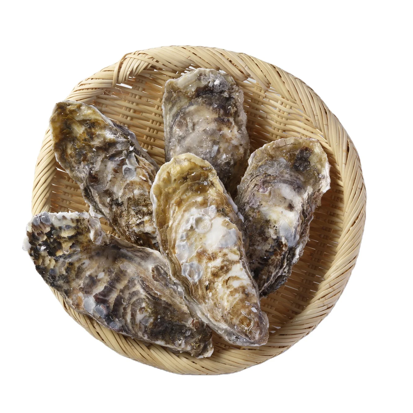 
Whole Shell Oysters Sauce Fresh Seafood Refrigeration For Health 
