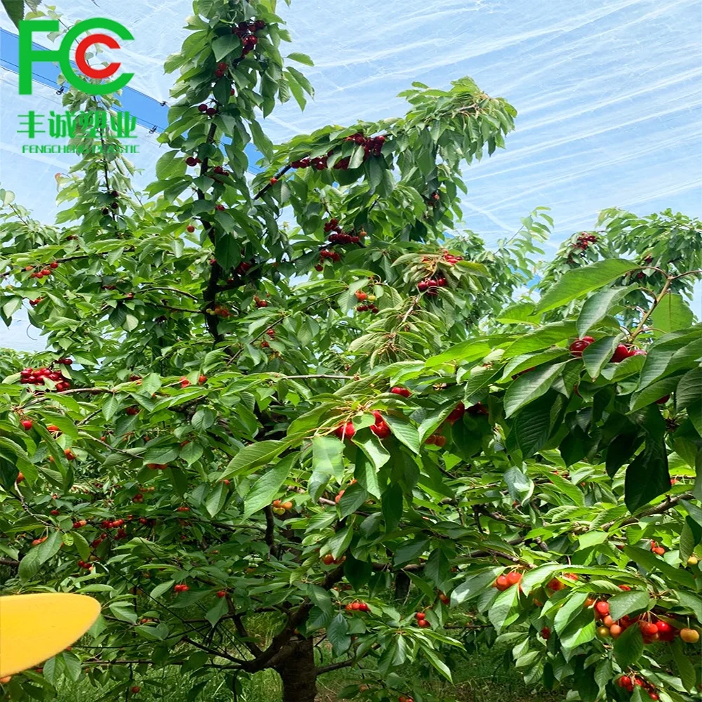 new product anti acid rain cover polyweave greenhouse plastic film for cherry protecting