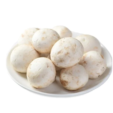 Wholesale white shimeji beech mushroom