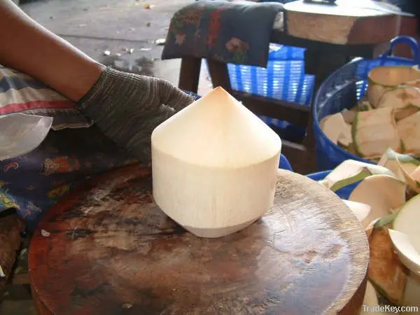 Дешевая цена зеленый кокос свежий молодой сладкий