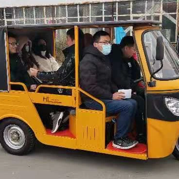 Electric Passenger travel tricycle with shed tricycle, Motorcycle Taxi