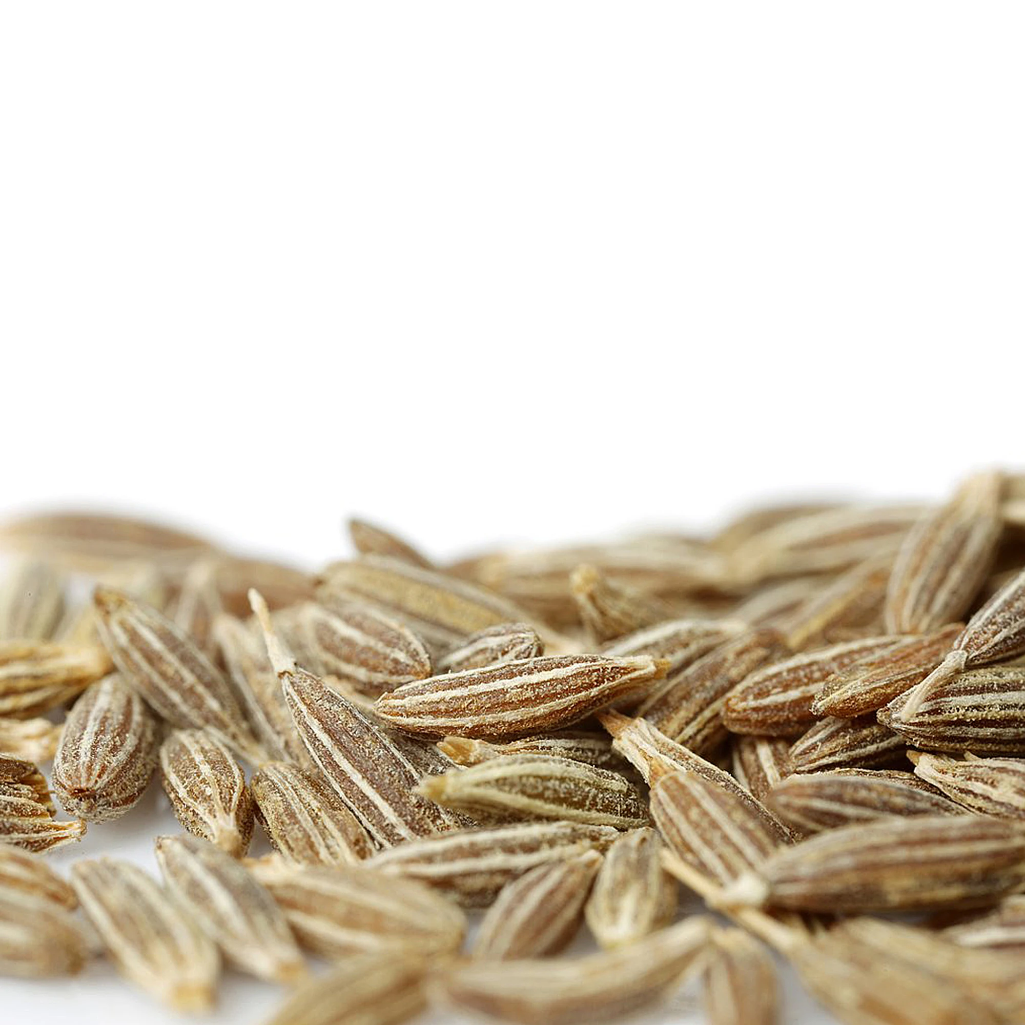 
Best Quality Indian Caraway seeds Cumin Seed 