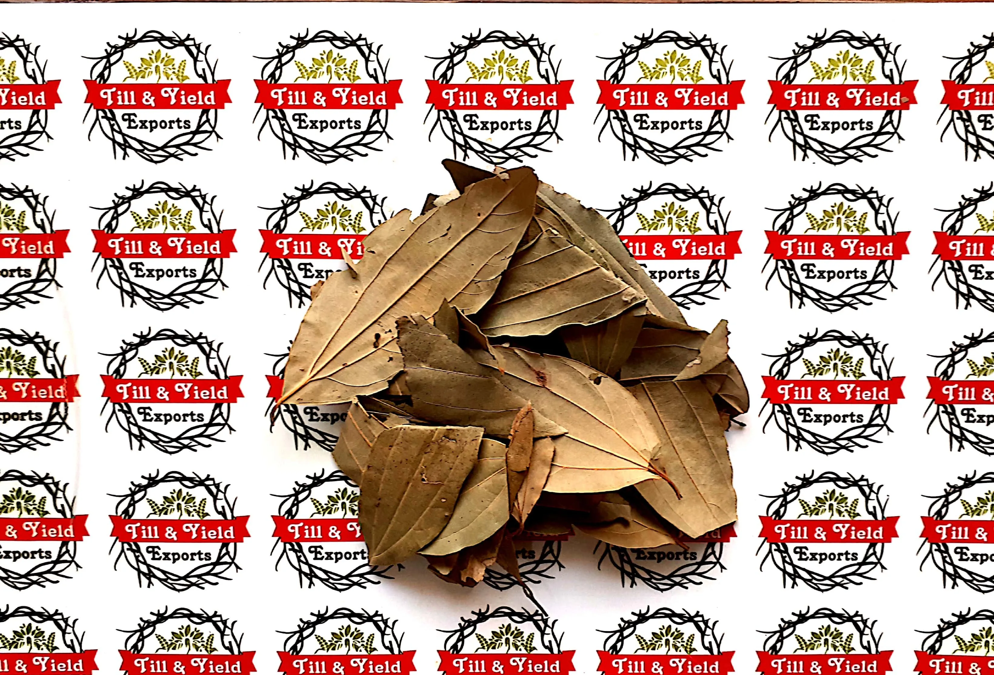 Bay Leaf/Tejpatta Zeylanicum Help Manage High Cholesterol Due To Its Antioxidant And Anti Inflammatory Properties