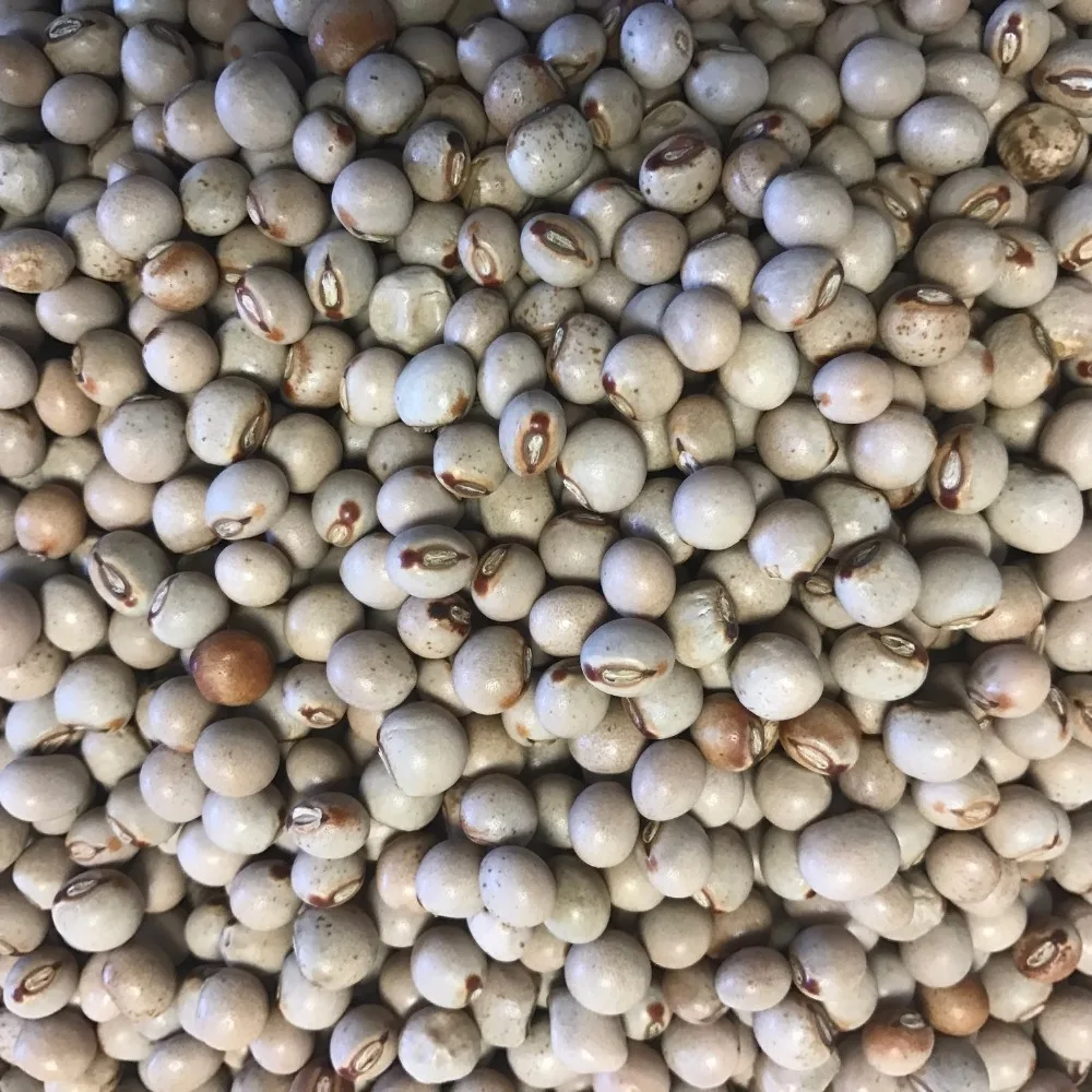 
100% Natural Beans Split Peas from Brazil 