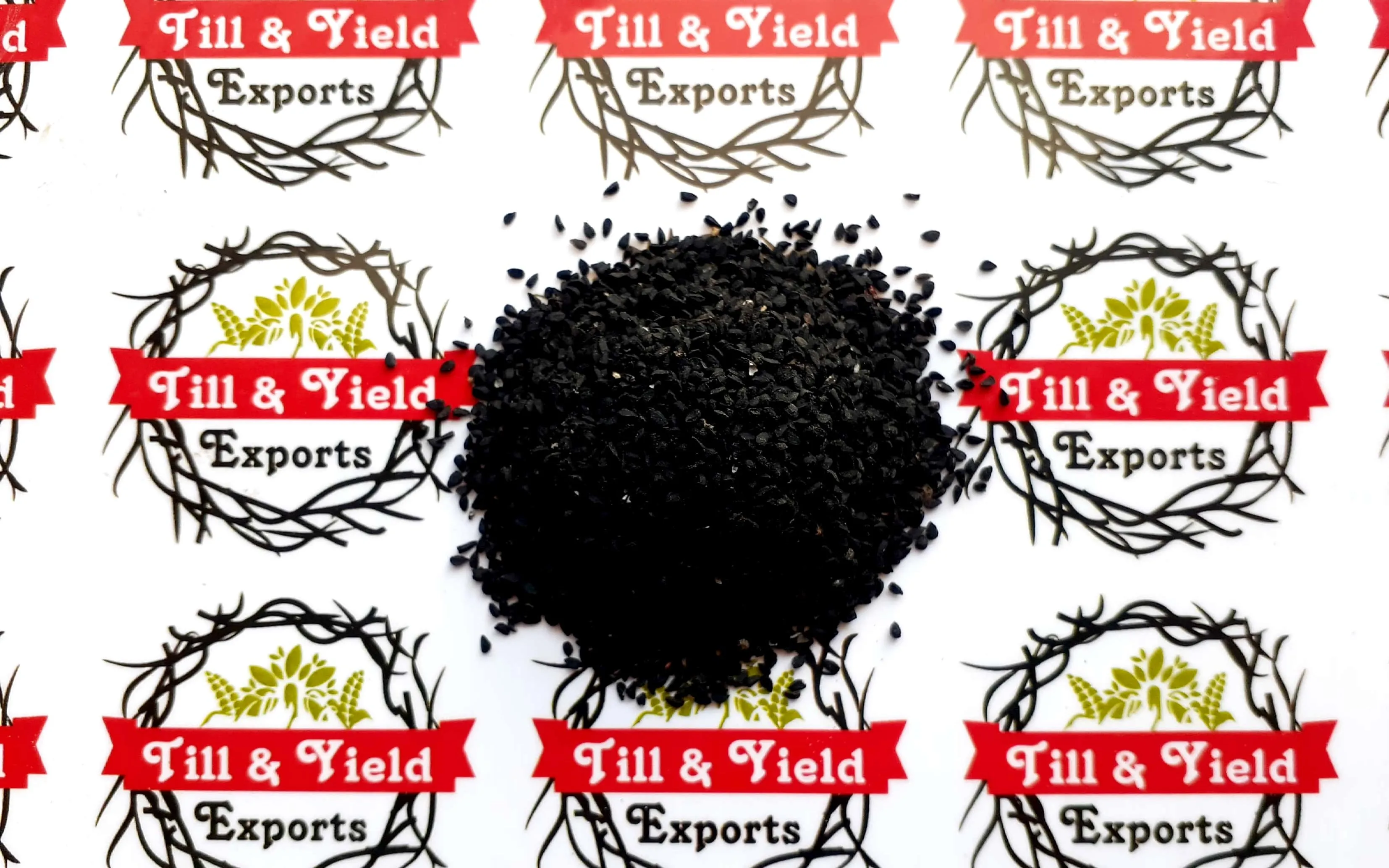Premium Quality Black Seed/Nigella Sativa/Indian Kalonji 250g