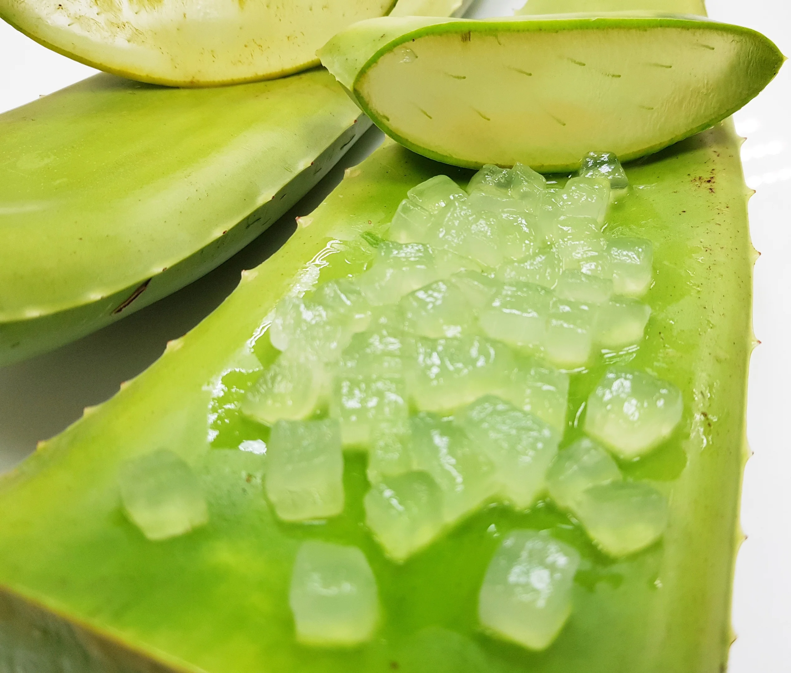 
Aloe vera gel dices from Thailand 