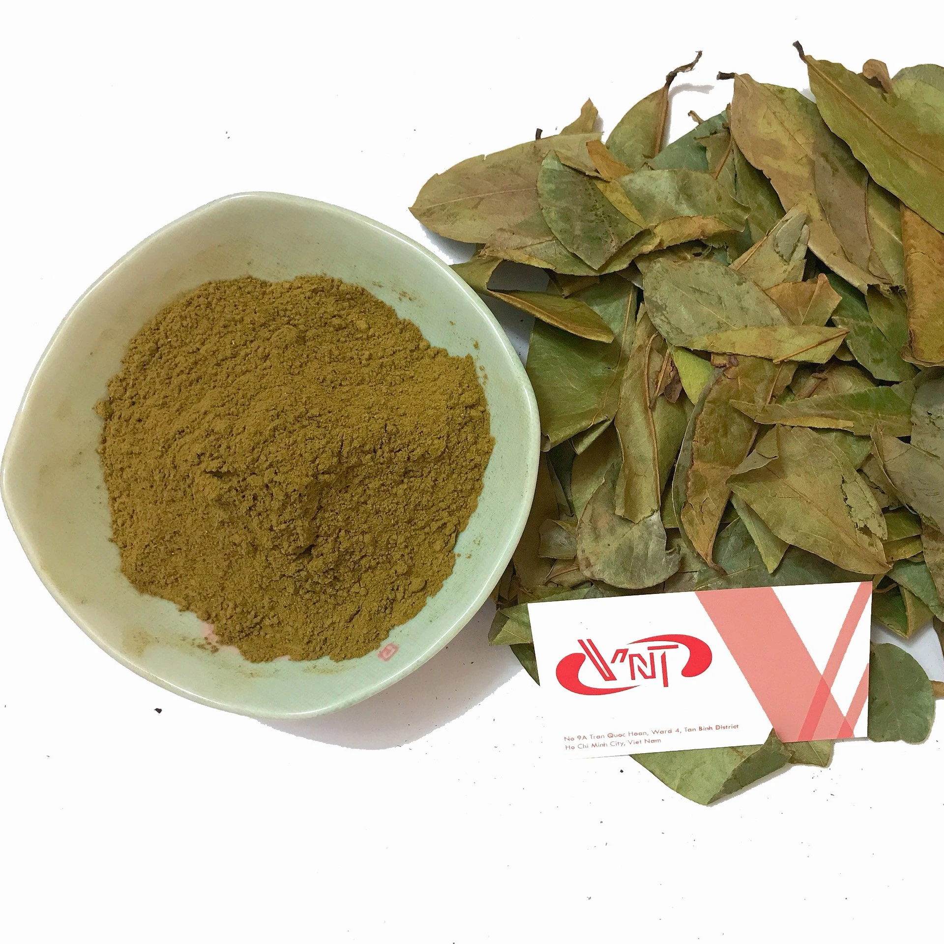 OEM Tea Bag Packing Dried Soursop Leaf/ Graviola Leaf Origin Vietnam Bulk Best Prices