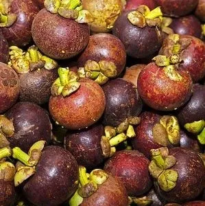
Fruit The Top Grade Viet Nam - Mangosteen Fruit Delicious Taste 
