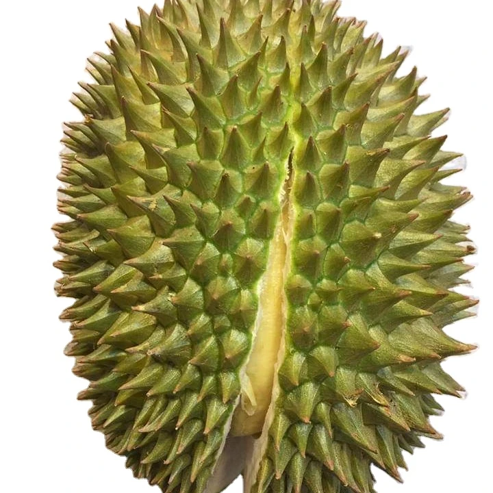 Высокое качество/Премиум заморозка мяса MONTHONG DURIAN из Вьетнама/мисс Триш + 84 984 696 874