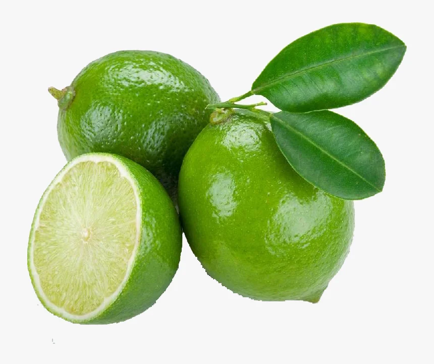 SALE OEM Fresh Seedless Lime from Vietnam Cheap Price FRESH SEEDLESS Wholesale GREEN LEMON Raw Origin